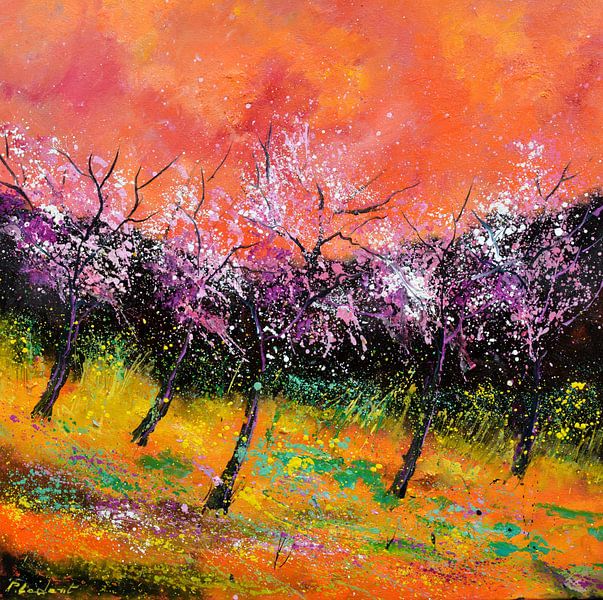 Printemps rose par pol ledent