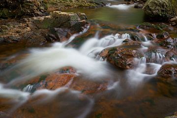 The river Ilse near Ilsenburg at the foot of the Brocken in the Harz National Park by Heiko Kueverling