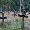 Forgotten graves somewhere in a forrest van Alfons Postma