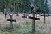 Forgotten graves somewhere in a forrest van Alfons Postma