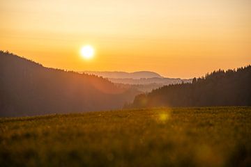 Zonsondergang met bos silhouet van Leo Schindzielorz