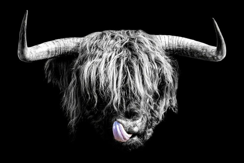 Scottish Highlander black-and-white portrait by Gianni Argese