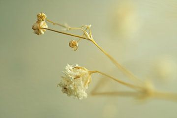 A mini flower decoration by Korayu Photography