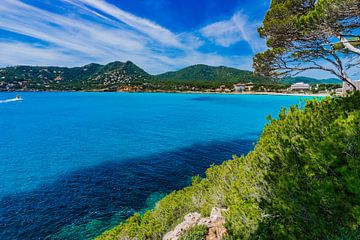 Prachtig uitzicht op de baai van de kust van Canyamel op het eiland Mallorca van Alex Winter