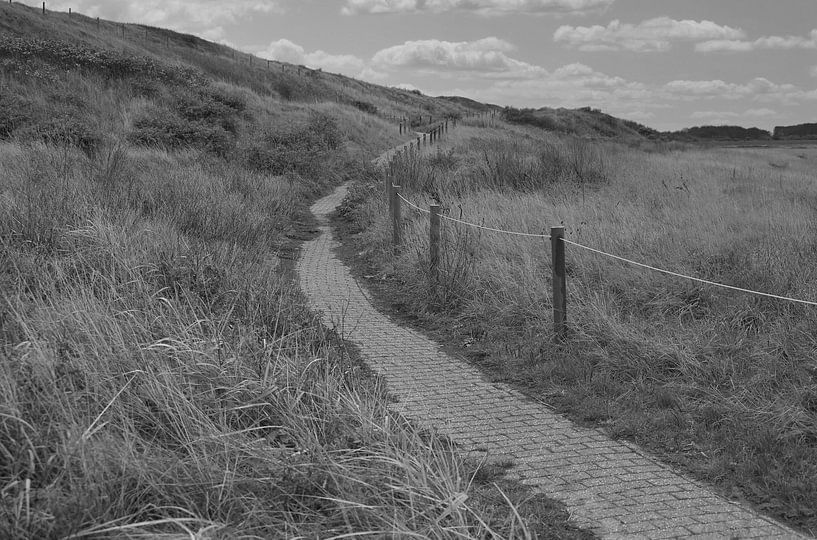 Footpath near the Slufter ( Texel ) in black and white. by Jose Lok