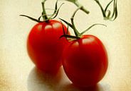 Tomaten van Roswitha Lorz thumbnail