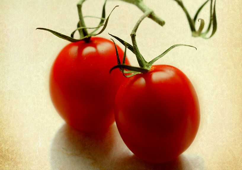 Tomaten van Roswitha Lorz