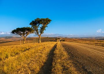 Route abandonnée en Afrique du Sud au coucher du soleil sur Charlotte Dirkse