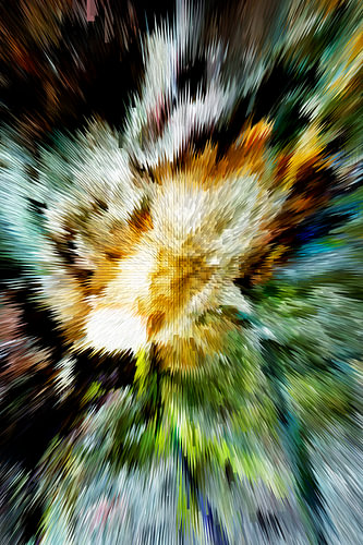 Digital art