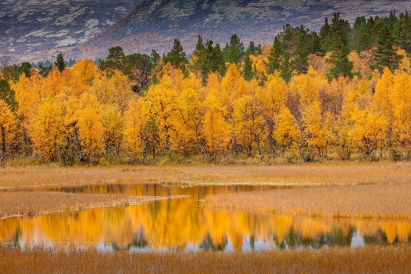 Herfst spiegeling in Noorwegen van Andy Luberti