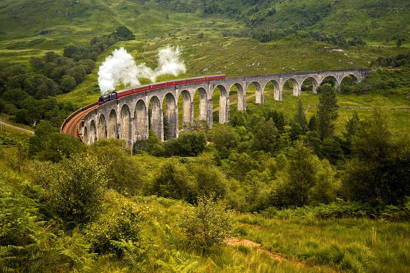 Steam train von Wojciech Kruczynski