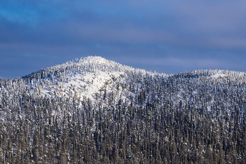Landschaft mit Schnee im Winter in Ruka, Finnland von Rico Ködder