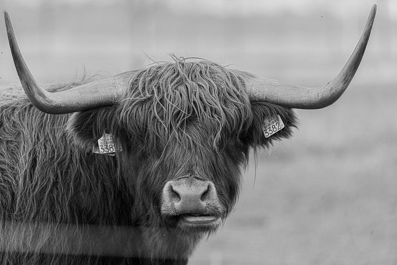 Tirer sur Highlander par Robert Flierman