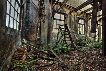 Urbex oude vervallen fabriek van Dyon Koning