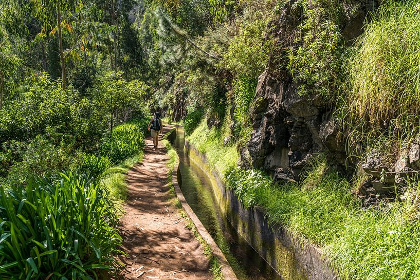 Levada Ribeira de Janela, Madère par Peter Schickert