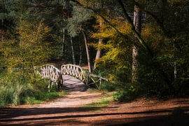 Das schöne Friesland, Oudemirdum von Jaap Tanis