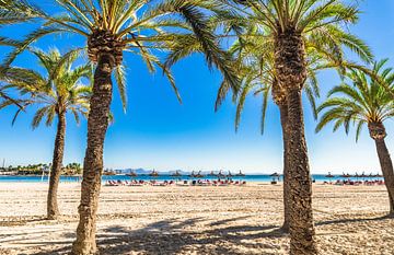 Vacances d'été à la plage sur Platja de Alcudia, magnifique bord de mer sur Alex Winter