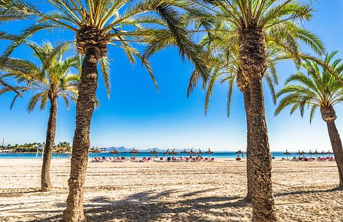Zomerse strandvakantie op Platja de Alcudia, prachtige kust