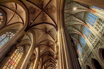 Sint Janskathedraal in Den Bosch van Blond Beeld