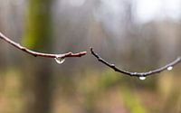 Velhorst estate - Lochem (Netherlands) by Marcel Kerdijk thumbnail