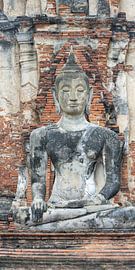 Unvergänglichkeit im Verfall