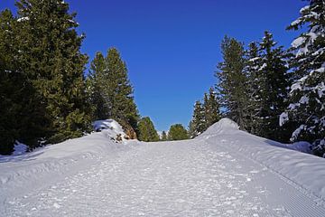 Winterwandelpad in de Alpen