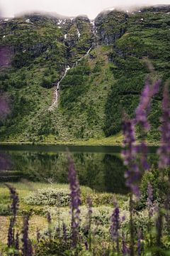 Kleine waterval in Noorwegen van Sander Spreeuwenberg