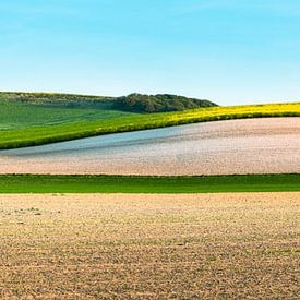 Bunte Hügel Frankreich-Panorama von Jeroen Mikkers