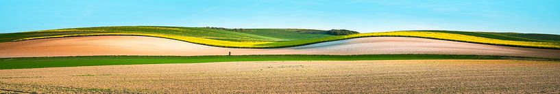 Collines colorées France panorama par Jeroen Mikkers