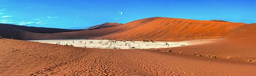 Panorama van de Deadvlei, Namibië