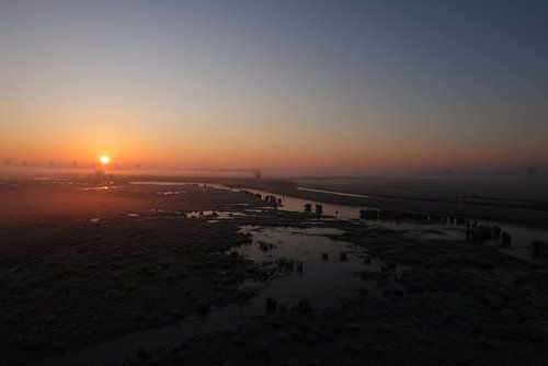 Lever du soleil sur les prairies de Binnenveld