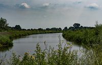 Zijtak van de Rijn, Wageningen van Cilia Brandts thumbnail