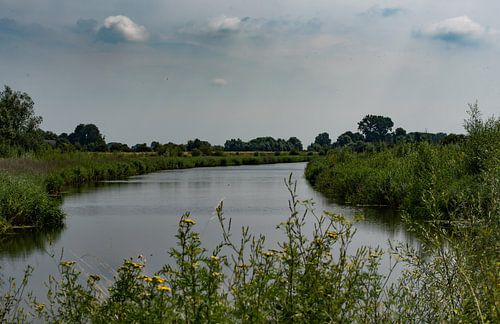Zijtak van de Rijn, Wageningen