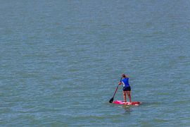 Plank sailing by didier de borle
