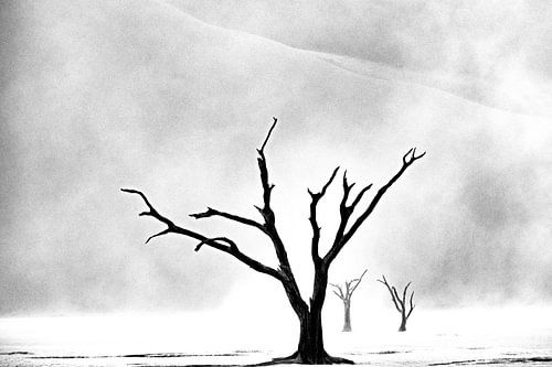  Namibia: Der Geist der Wildnis