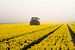 Tractor in het tulpenveld van Martijn Tilroe
