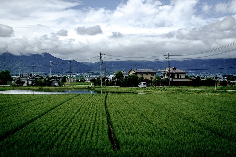 Rijstvelden in Japan by H Verdurmen