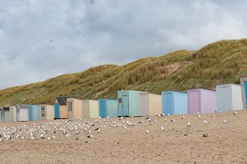 Strandhäuschen auf Texel von Jolene van den Berg