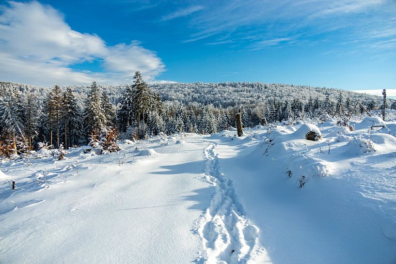 Korte winterwandeling rond de besneeuwde Inselsberg bij Brotterode - Thüringen - Duitsland van Oliver Hlavaty