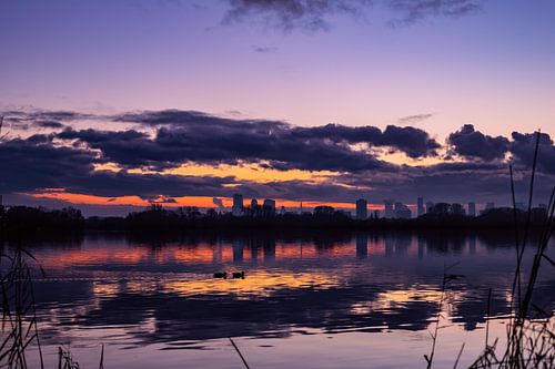 Like a Brave Summernight in Winter nr. 5