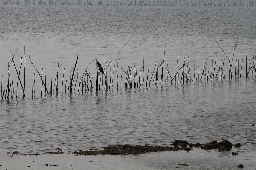 Weervisserij gebied by Abra van Vossen