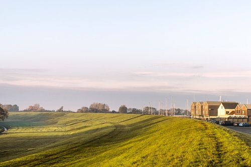 Polderlandschap in de ochtend. 2. Lelystad. van Alie Ekkelenkamp