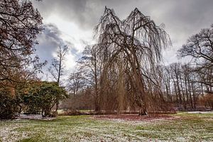 Park Valdieu van Rob Boon