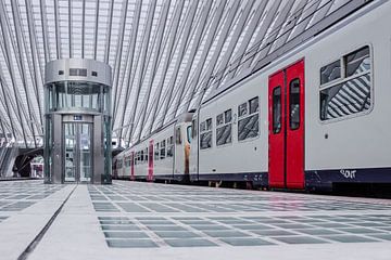 Stilstaande trein aan het perron in station Luik - Guillemins | city p