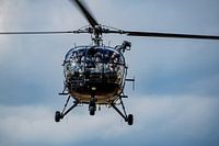 Alouette