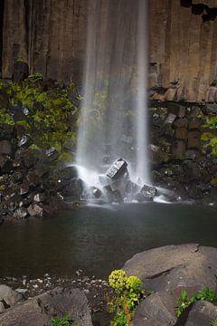Svartifoss waterval IJsland van Menno Schaefer