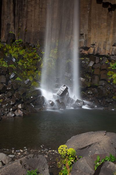 Svartifoss waterfall Iceland by Menno Schaefer