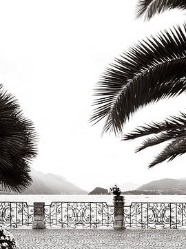 Esplanade of Menaggio by Michael Schulz-Dostal