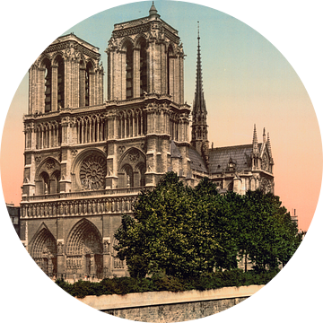 Notre Dame, Parijs van Vintage Afbeeldingen