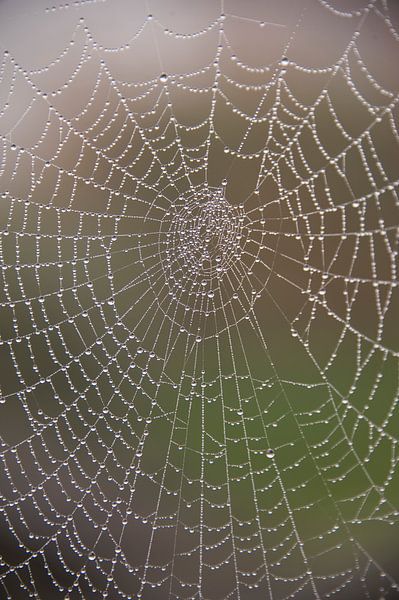 Spinnenweb met parels van Marije Zuidweg